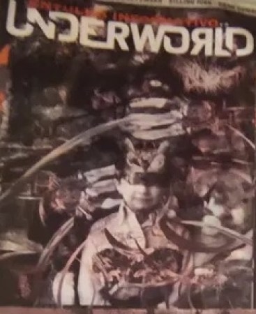 image;s=1000x700-cópia